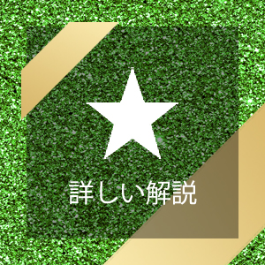 より詳しい解説 より詳しい解説